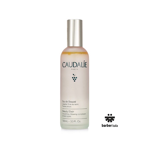 اسپری شاداب‌کننده و فیکس‌کننده آرایش کدلی مدل Beauty Elixir (Eau de Beauté) حجم 100